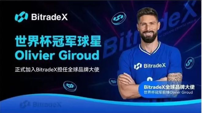 稳如吉鲁!BitradeX用户复投率激增40%背后的长期主义